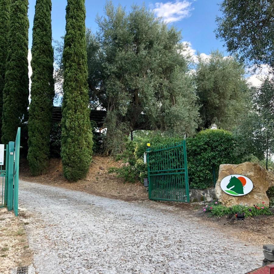 Agriturismo Poggio Del Drago Montemerano Exteriér fotografie