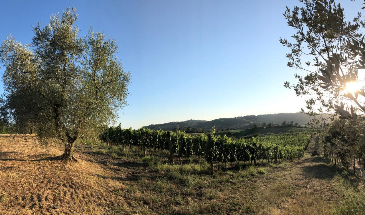 Agriturismo Poggio Del Drago Montemerano Exteriér fotografie