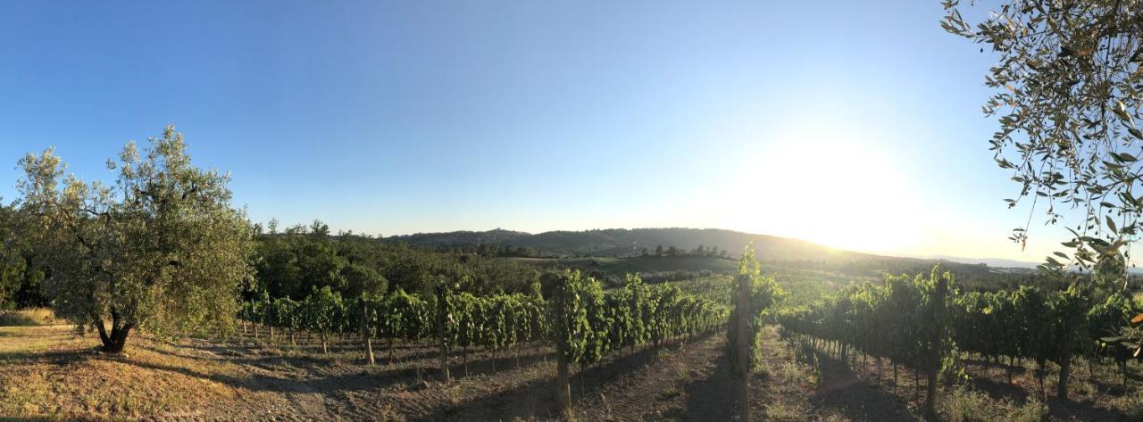 Agriturismo Poggio Del Drago Montemerano Exteriér fotografie