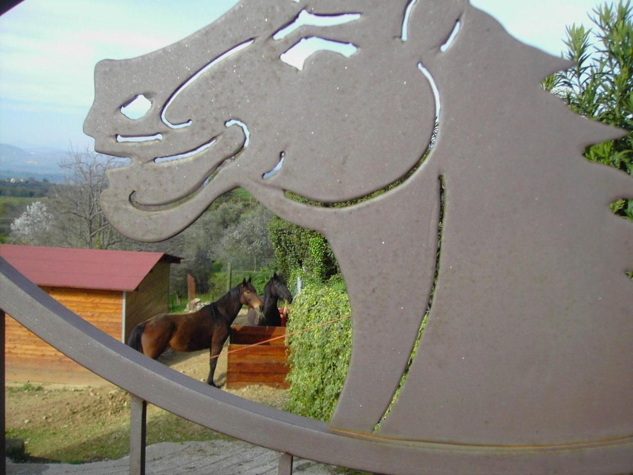 Agriturismo Poggio Del Drago Montemerano Exteriér fotografie