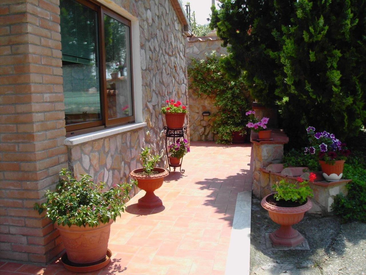 Agriturismo Poggio Del Drago Montemerano Exteriér fotografie