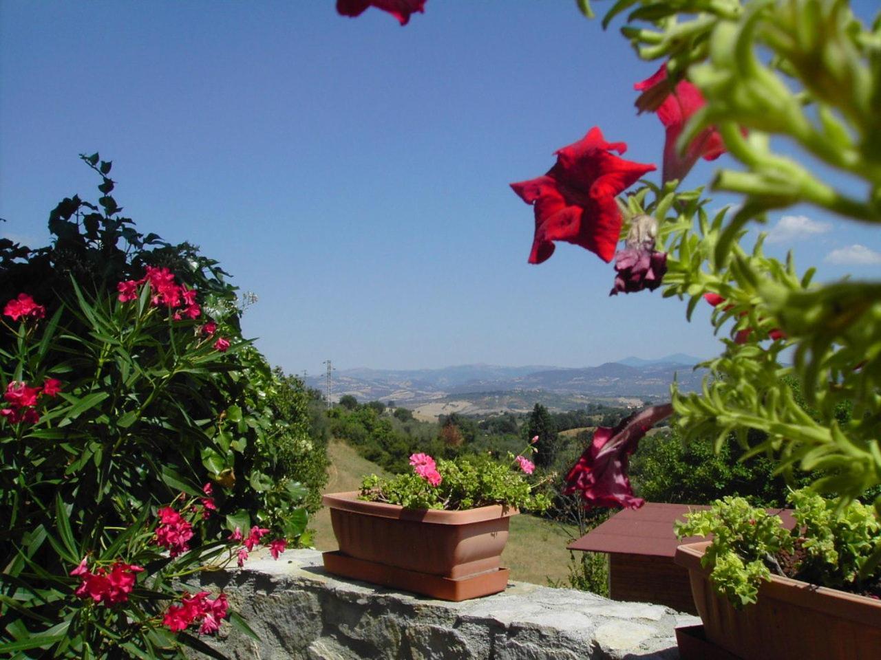 Agriturismo Poggio Del Drago Montemerano Exteriér fotografie