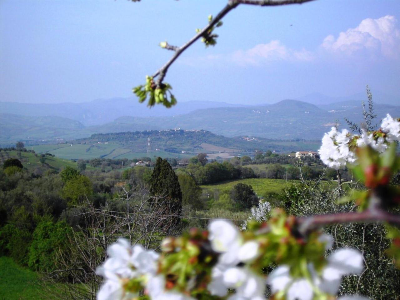 Agriturismo Poggio Del Drago Montemerano Exteriér fotografie