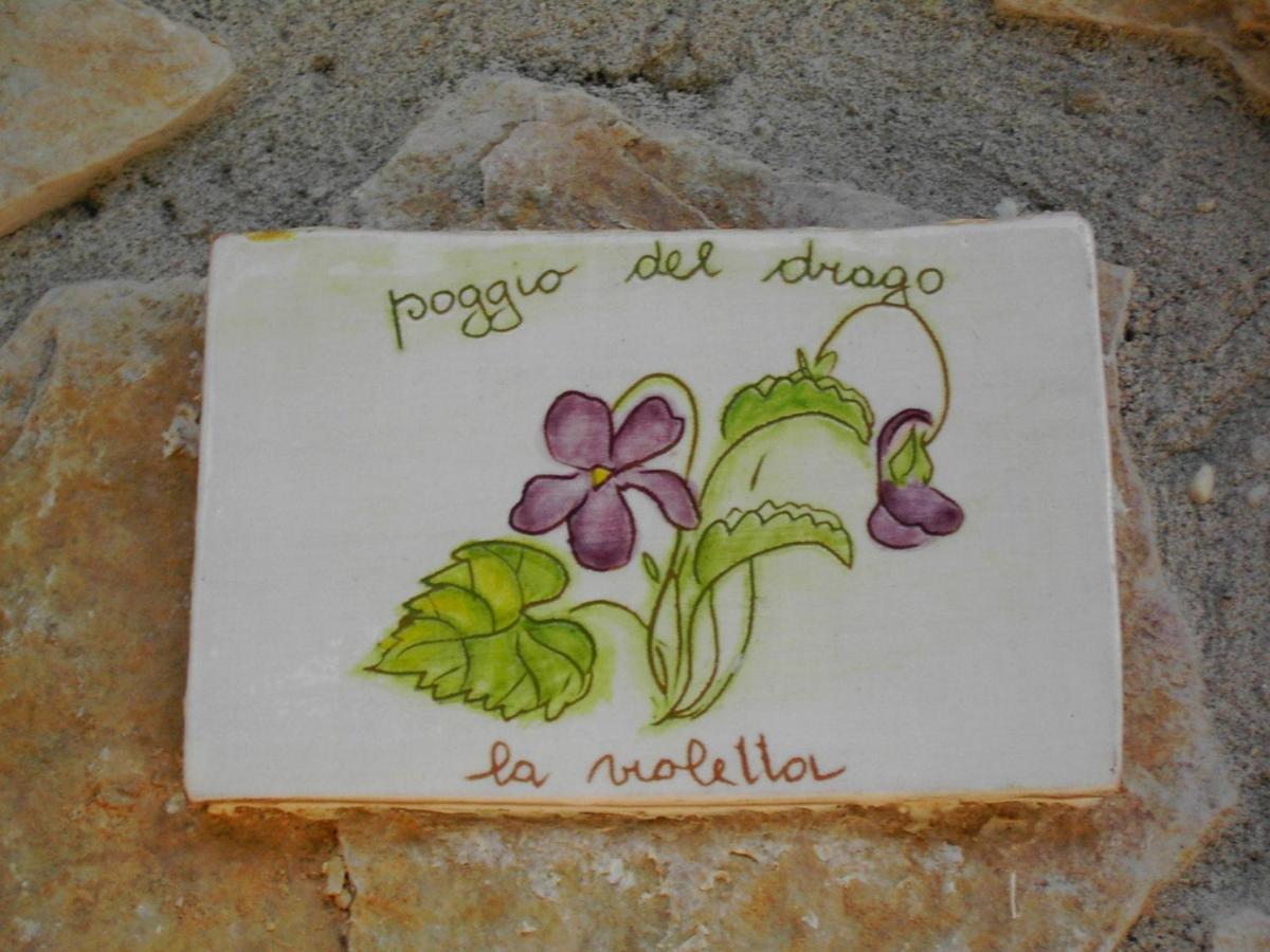 Agriturismo Poggio Del Drago Montemerano Pokoj fotografie